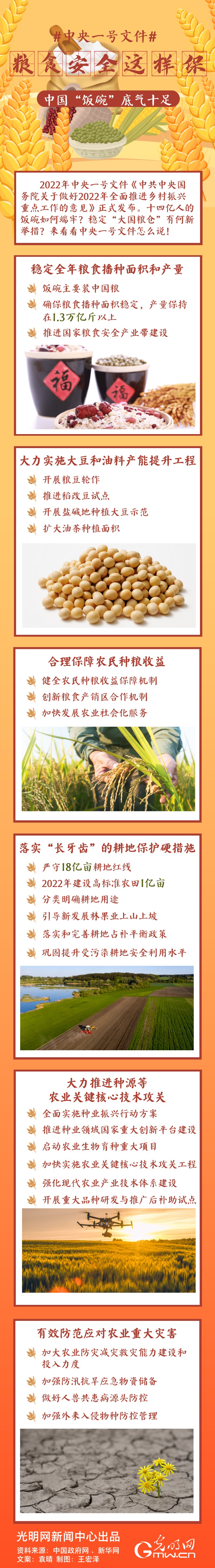 中央一號(hào)文件｜糧食安全這樣保，中國(guó)“飯碗”底氣十足