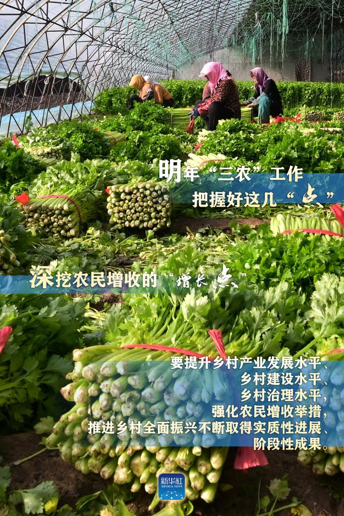 明年“三農”工作，這幾個“點”要把握好