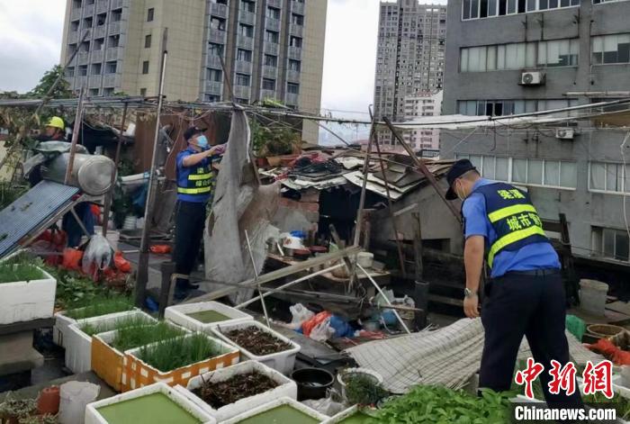 在一處居民樓屋頂，城管隊(duì)員拆除“空中菜園”?！〗疖?攝