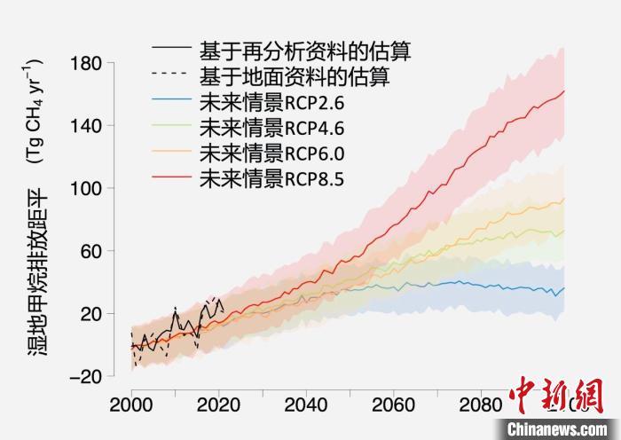 基于觀測(cè)的濕地甲烷排放變化與未來(lái)氣候變化情景下估算的對(duì)比?！≈锌圃呵嗖馗咴?供圖