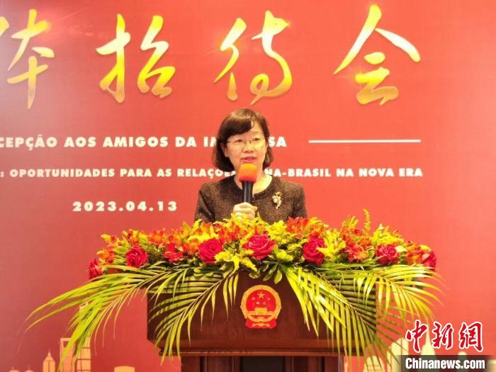 巴西學(xué)者專家熱議“中國式現(xiàn)代化對新時期中巴關(guān)系的機遇”
