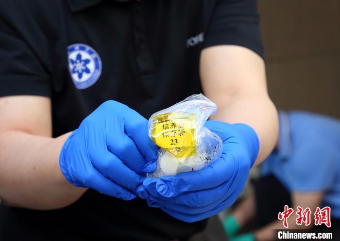隨神舟十五號返回地面的空間科學(xué)實驗樣品?！≈锌圃嚎臻g應(yīng)用中心 供圖