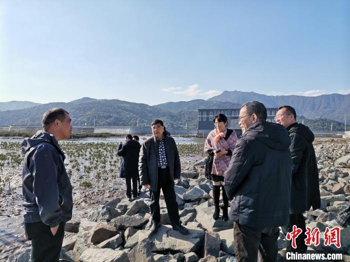 浙江海洋生態(tài)觀察：智慧大腦如何解鎖藍(lán)色發(fā)展密碼？