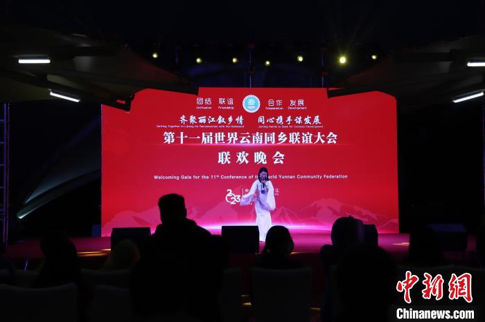 圖為第十一屆世界云南同鄉(xiāng)聯(lián)誼大會舉辦聯(lián)歡晚會?！〈抻澜?攝