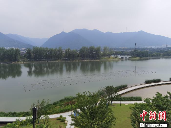 兩岸媒體共探杭州亞運(yùn)會(huì)“綠”在何處？