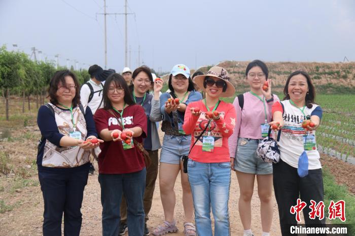 圖為臺胞體驗大美內(nèi)蒙古?！⊥袐I供圖
