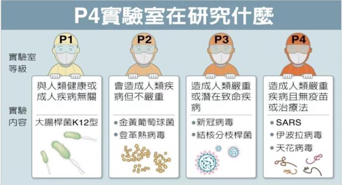 P4實(shí)驗(yàn)室在研究什么。臺(tái)灣聯(lián)合新聞網(wǎng)資料圖