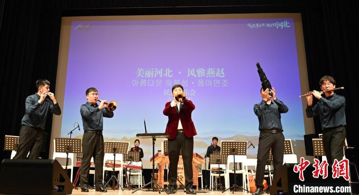 圖為音樂會現(xiàn)場?！∈谞栔袊幕行墓﹫D