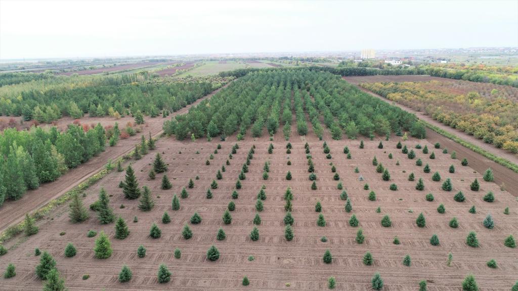 這是2023年9月11日在哈薩克斯坦首都阿斯塔納拍攝的一處植物種質(zhì)資源苗圃（無(wú)人機(jī)照片）。新華社發(fā)（法爾哈特·圖克諾夫 攝）