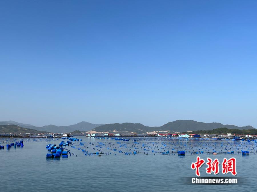 霞浦縣海上魚排。<a target='_blank' href='/' ><p  align=