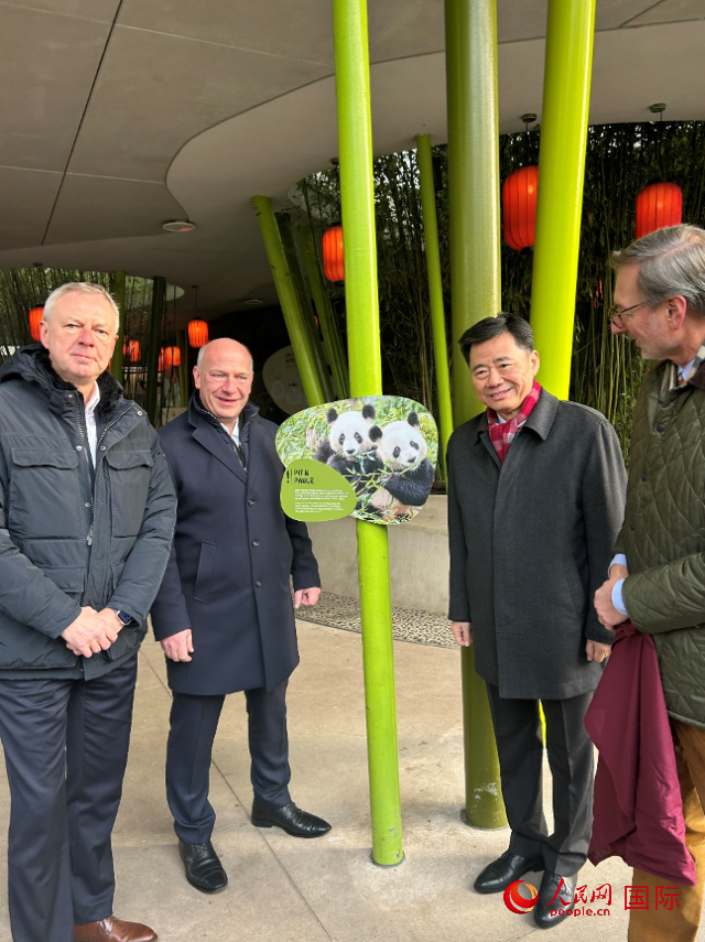 中國駐德國大使吳懇（右二）、柏林市長韋格納（左二）、動物園園長克尼里姆（右一）和監(jiān)事會主席布魯克曼（左一）共同為“夢想”“夢圓”大熊貓紀(jì)念牌揭幕。人民網(wǎng)記者 徐馨攝
