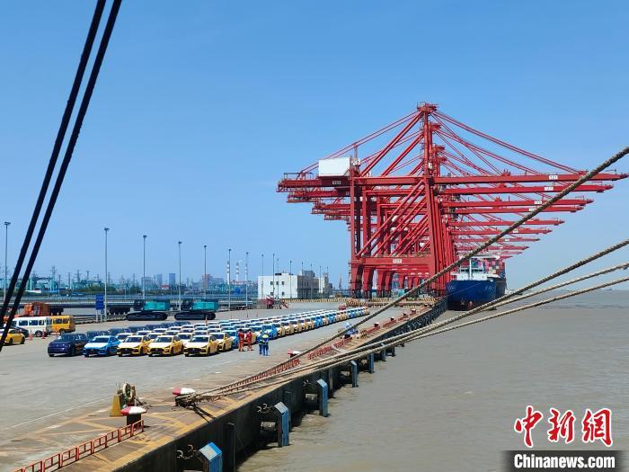 資料圖：國產(chǎn)新能源車在上海外高橋港區(qū)海通碼頭“整裝待發(fā)”?！∑址?攝