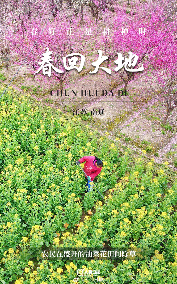 生機盎然！用課本封面打開春耕畫卷