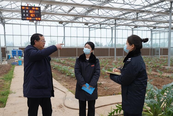 稅務干部走進常德市西洞庭管理區(qū)的朝鮮薊種植基地，宣傳稅費優(yōu)惠政策，助力農(nóng)企搶農(nóng)時、抓春耕、穩(wěn)增長。吳家豪攝
