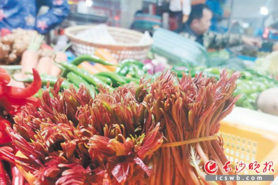 　　農(nóng)貿(mào)市場(chǎng)里鮮嫩的香椿?！　【鶠殚L(zhǎng)沙晚報(bào)全媒體記者 劉捷萍 攝