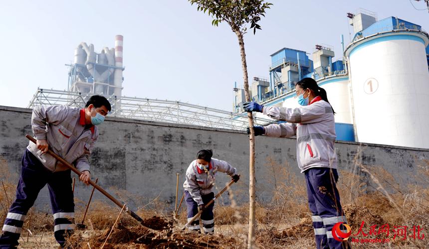 邢臺金隅職工在石邢公路沿線植樹。 宋繼昌攝