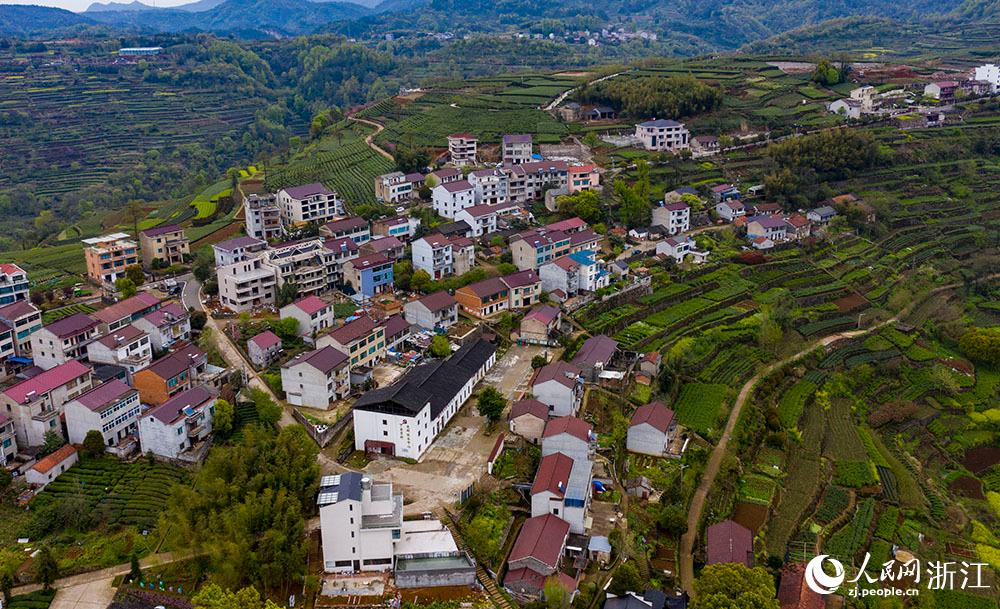 4月1日，紹興市新昌縣東茗鄉(xiāng)下巖貝村風(fēng)光秀麗，茶園旖旎。人民網(wǎng) 章勇濤攝