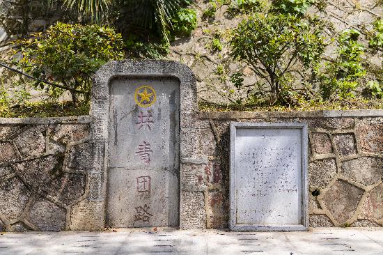 共青團路石碑。   南報融媒體記者  丁劼攝