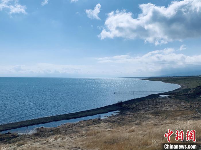 圖為青海湖畔。(資料圖) 張傲 攝