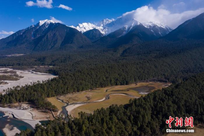 資料圖：西藏崗云杉林與遠處的雪峰。 何蓬磊 攝