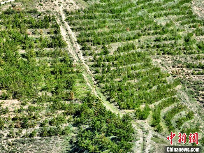 航拍建行青海省分行綠化區(qū)?！∑钤鲚?攝