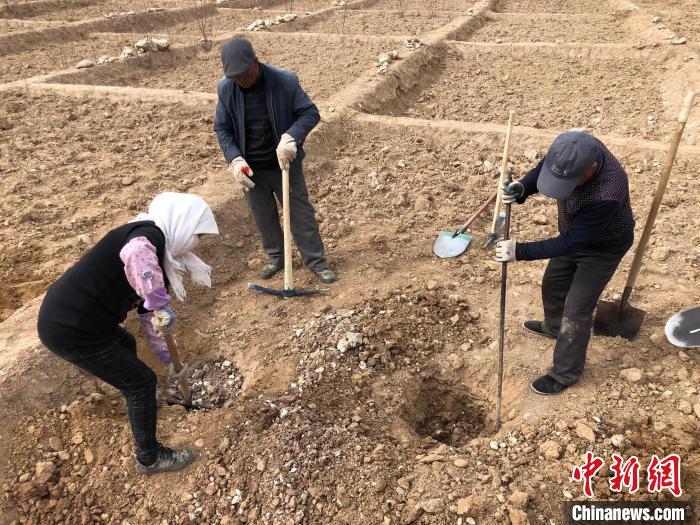 資料圖為建行青海省分行綠化區(qū)施工隊隊員處理亂石?！〗ㄐ星嗪Ｊ》中泄﹫D