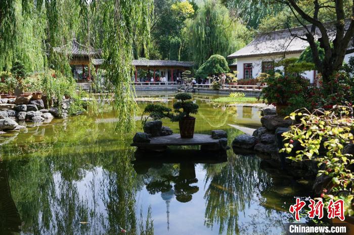 圖為西寧園林植物園秋日風(fēng)景別有韻味。　馬銘言 攝