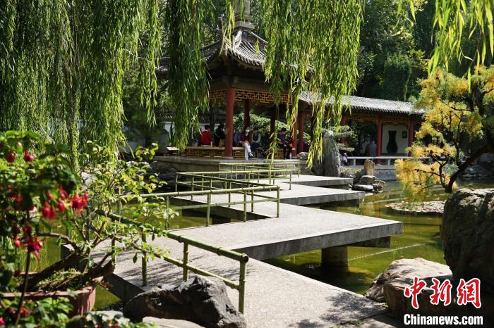 圖為西寧園林植物園秋日風(fēng)景別有韻味?！●R銘言 攝