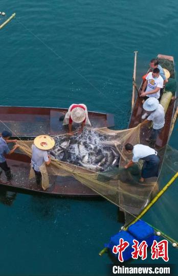 捕魚現(xiàn)場。　主辦方供圖