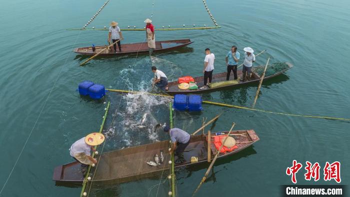 捕魚現(xiàn)場?！≈鬓k方供圖
