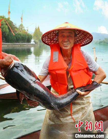 工作人員展示捕撈成果?！≈鬓k方供圖