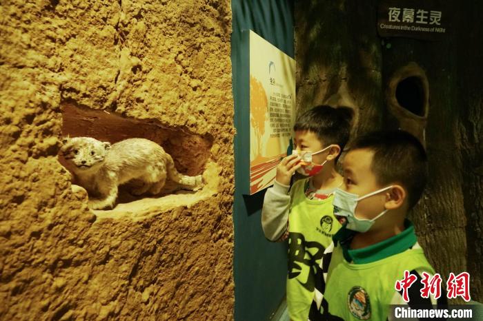 圖為小朋友在青海西寧湟水國家濕地公園科普館內(nèi)參觀學(xué)習(xí)?！●R銘言 攝