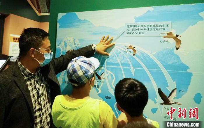 圖為小朋友在青海西寧湟水國家濕地公園科普館內(nèi)參觀學(xué)習(xí)?！●R銘言 攝