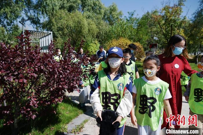 圖為小朋友在青海西寧湟水國家濕地公園內(nèi)認(rèn)識(shí)植物?！●R銘言 攝