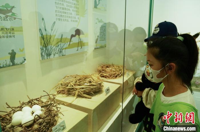 圖為小朋友在青海西寧湟水國家濕地公園科普館內(nèi)參觀學(xué)習(xí)?！●R銘言 攝