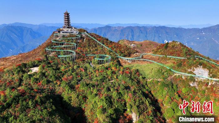 巴山大峽谷彩林迎來(lái)最佳觀賞期。　姚盛 攝