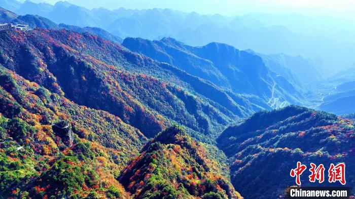 巴山大峽谷彩林迎來(lái)最佳觀賞期?！埰?攝
