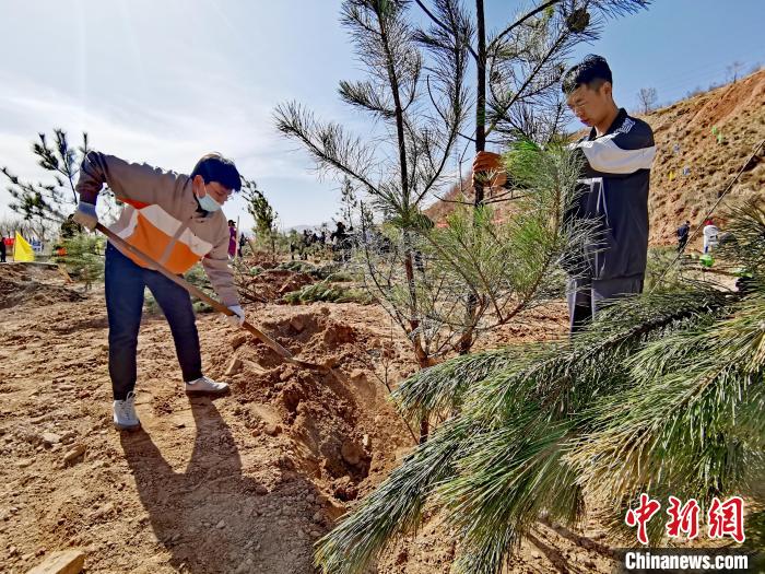 圖為西寧市城東區(qū)義務(wù)植樹活動現(xiàn)場。　張?zhí)砀?攝
