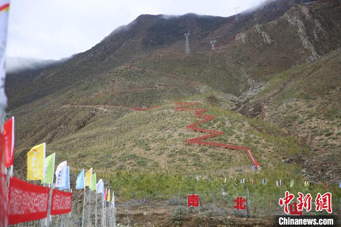 圖為拉薩南北山綠化工程拉薩曲水縣才納村5號(hào)片區(qū)?！∝暣_ 攝