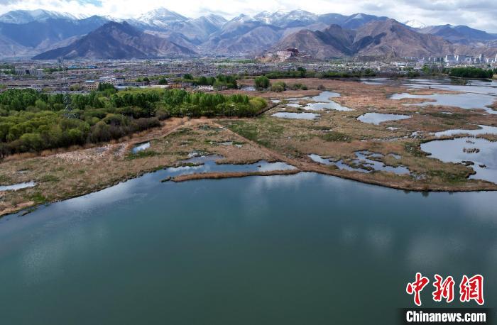 圖為拉薩拉魯濕地。(無人機照片) 李林 攝