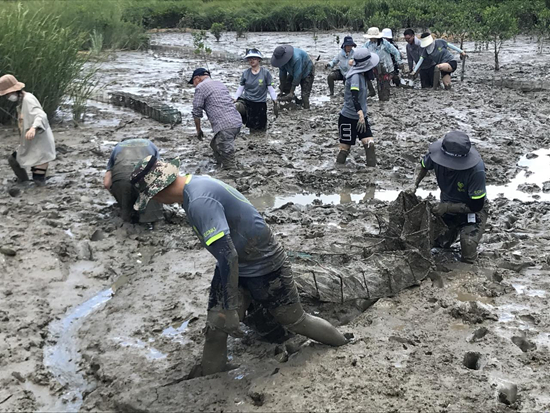 大學(xué)師生在行走中解碼大自然