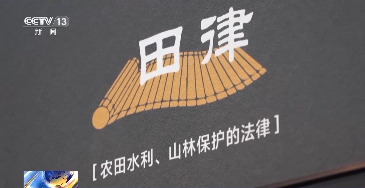 文化中國行丨最早的法典、家書、乘法表……千年簡牘中讀懂歷史的“大事件”“小細節(jié)”