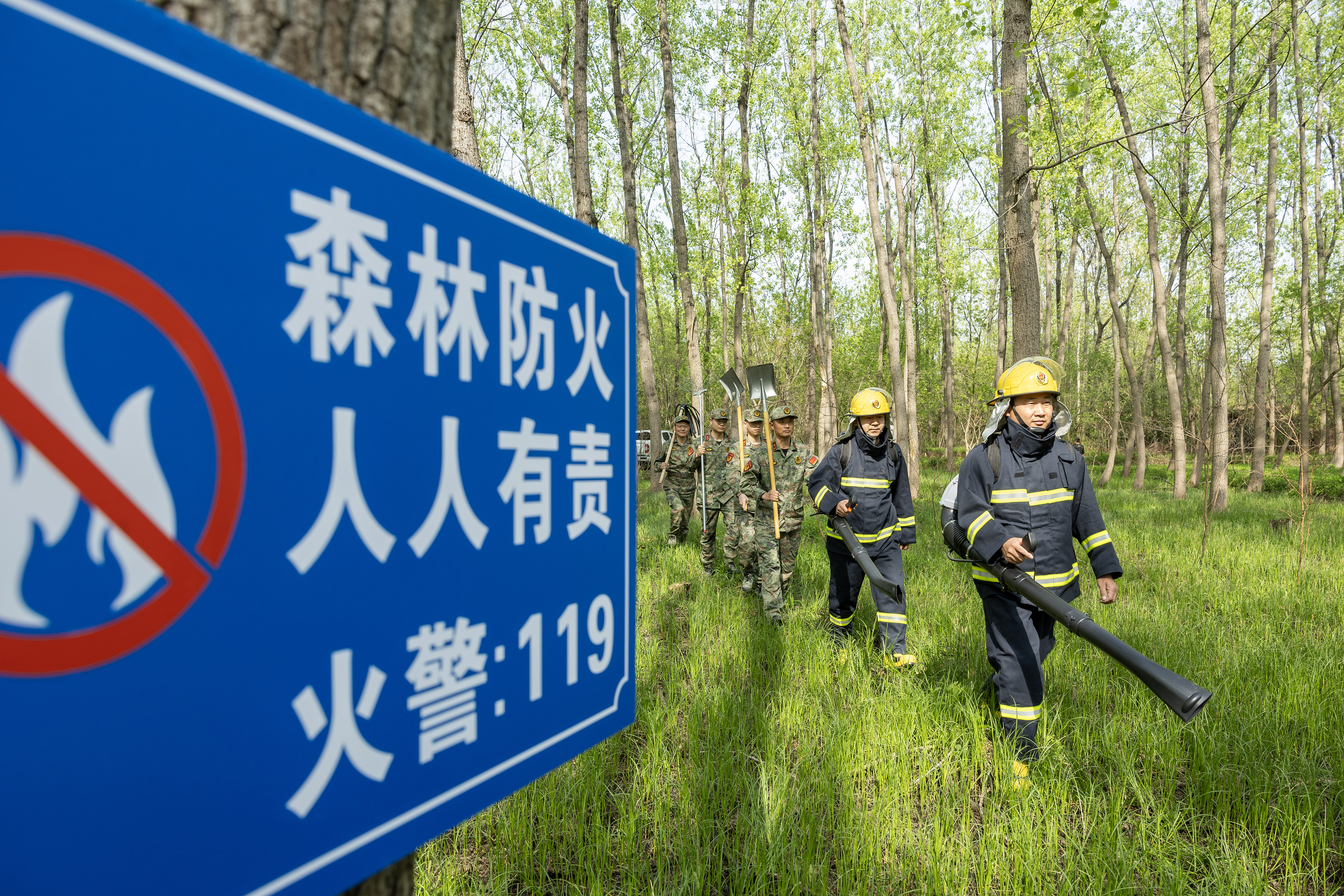 2024年4月9日，合肥市大房郢水庫水源保護(hù)地廬陽經(jīng)濟(jì)開發(fā)區(qū)段，基干民兵正在林間巡查火災(zāi)隱患。