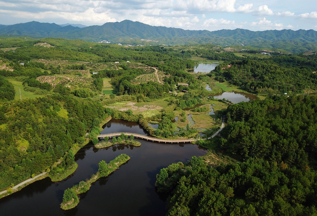 福建省龍巖市長汀縣的長汀汀江國家濕地公園景色（2020年7月28日攝，無人機照片）。新華社記者 魏培全 攝