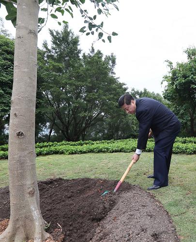 2012年12月7日至11日，習(xí)近平在廣東省考察工作。這是8日上午，習(xí)近平在深圳蓮花山公園種下一棵高山榕樹。新華社記者 蘭紅光 攝