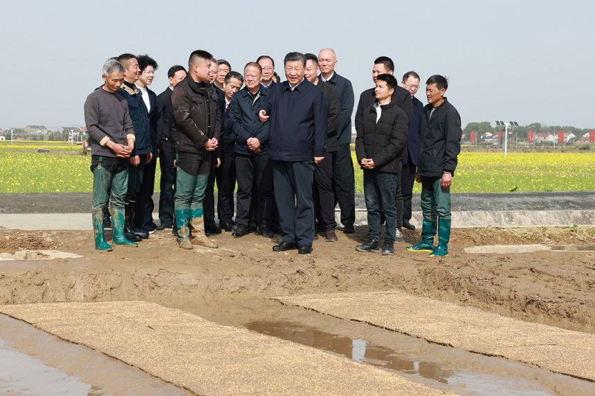 2024年3月18日至21日，中共中央總書記、國家主席、中央軍委主席習(xí)近平在湖南考察。這是19日下午，習(xí)近平在常德市鼎城區(qū)謝家鋪鎮(zhèn)港中坪村走進(jìn)田間，察看秧苗培育和春耕備耕進(jìn)展。新華社記者 王曄 攝