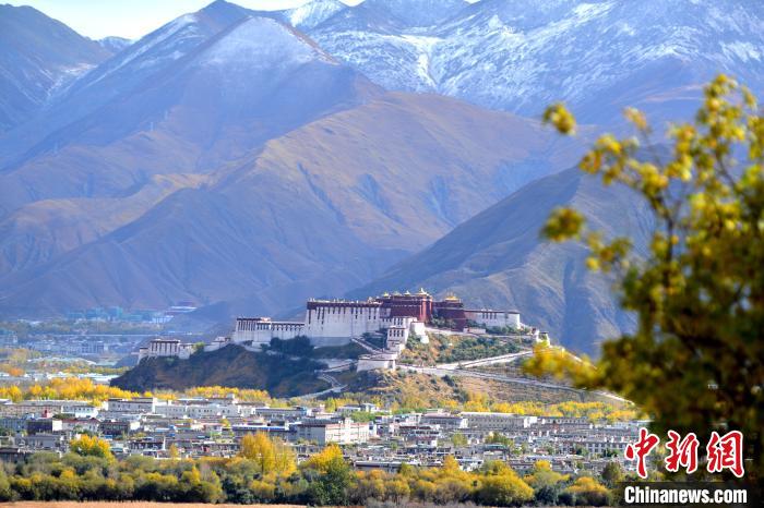10月24日，雪山、布達(dá)拉宮和秋色組成“風(fēng)景畫”。　江飛波 攝