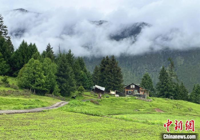 6月10日，魯朗小鎮(zhèn)高山牧場景區(qū)風光。　冉文娟 攝