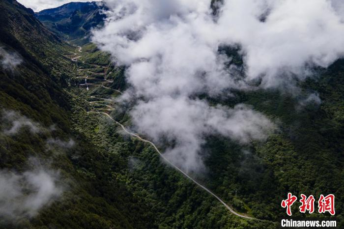 西藏山南勒布溝景區(qū)的盤山公路被云霧環(huán)繞?！〗w波 攝