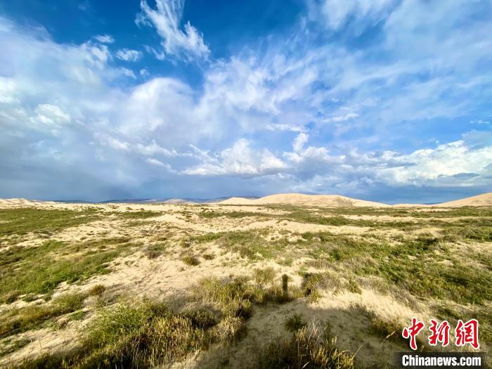 圖為關(guān)停四年后的沙島景區(qū)現(xiàn)狀?！±罱瓕?攝